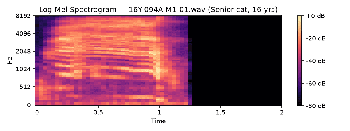 Log-mel spectrogram of a senior cat vocalization