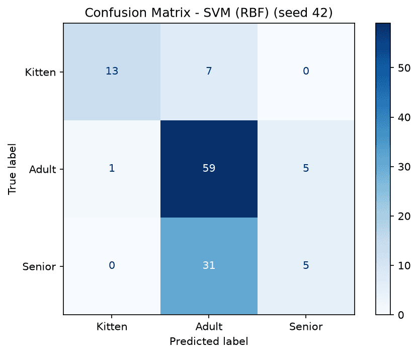 Confusion matrix for the SVM baseline